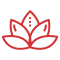 lotus-flower-red