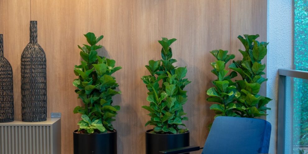 Decorado Misce 112m2
